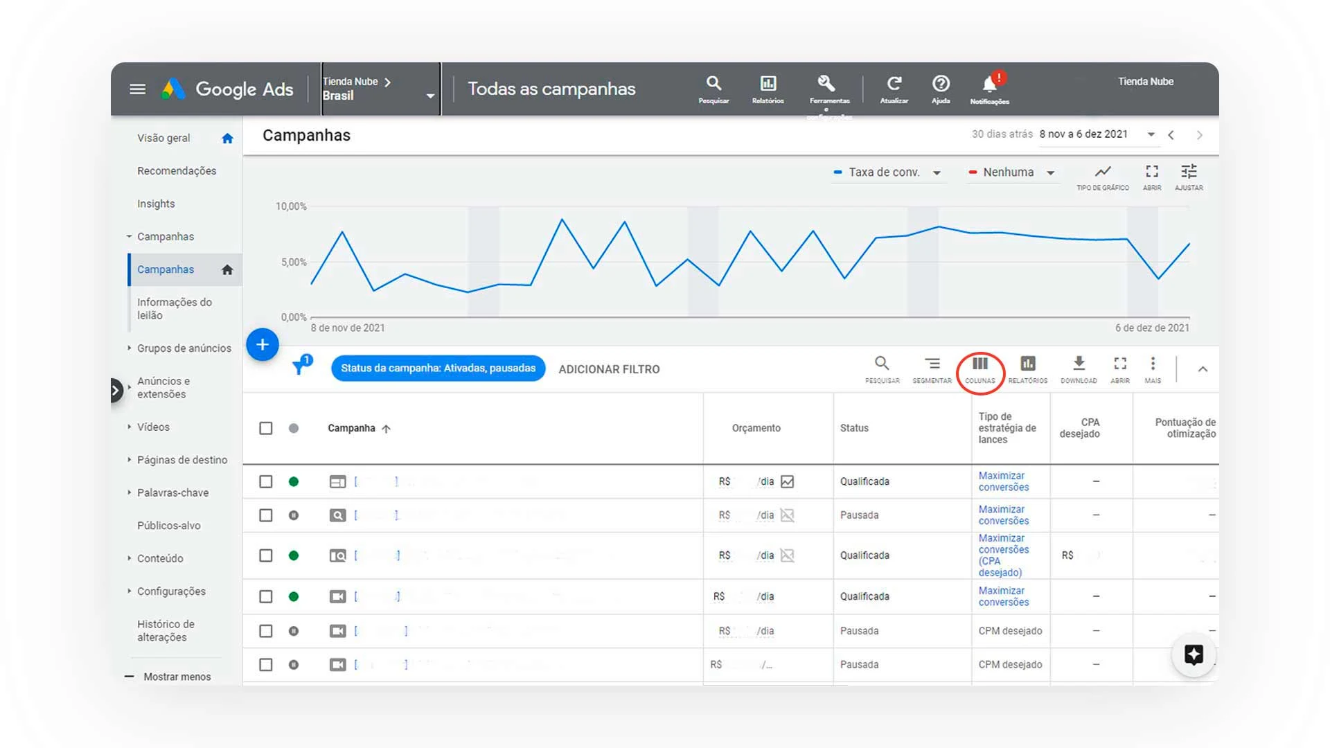 Print da interface do Google Ads mostrando a visão de campanhas e o gráfico de taxa de conversão